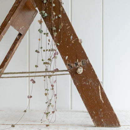 Rustic Pine Folding Step Ladder