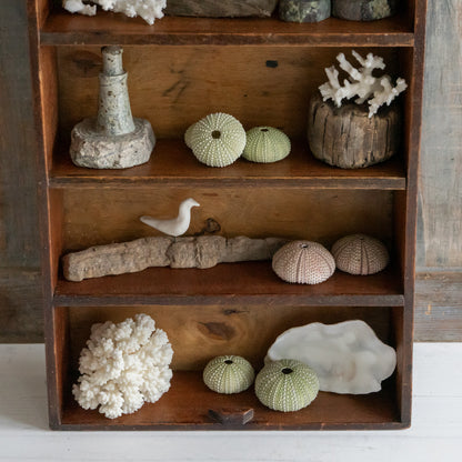 Rustic Wooden Display Shelf