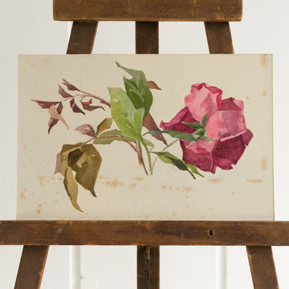 Small Watercolour Painting of a Rose