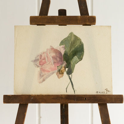 Small Watercolour Painting of a Single Pink Rose