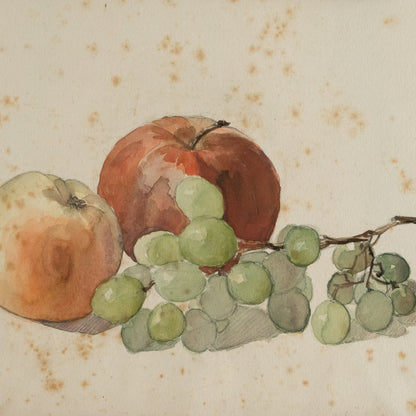 Small Watercolour Painting of Fruit