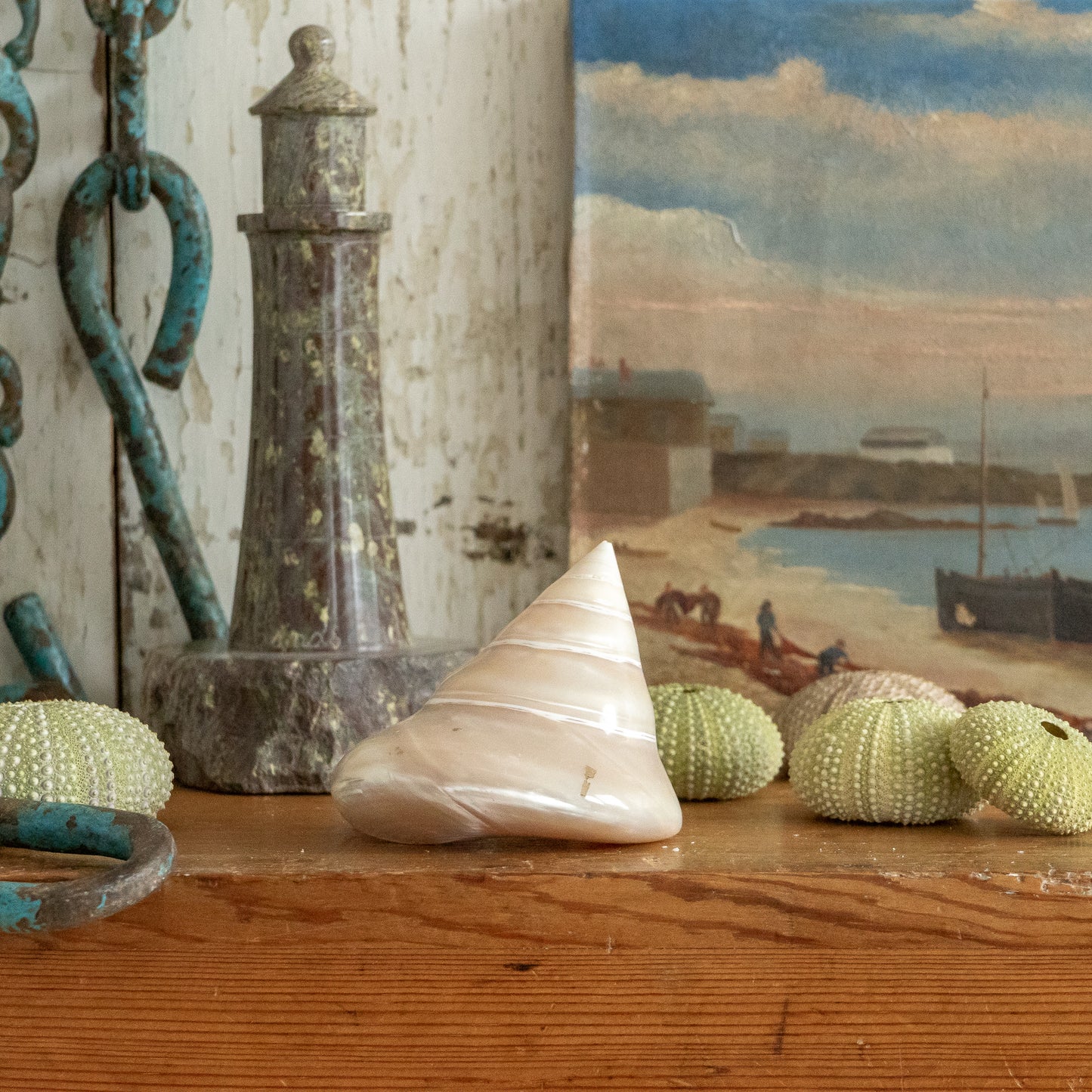 Sweet Little Pearlised Shell