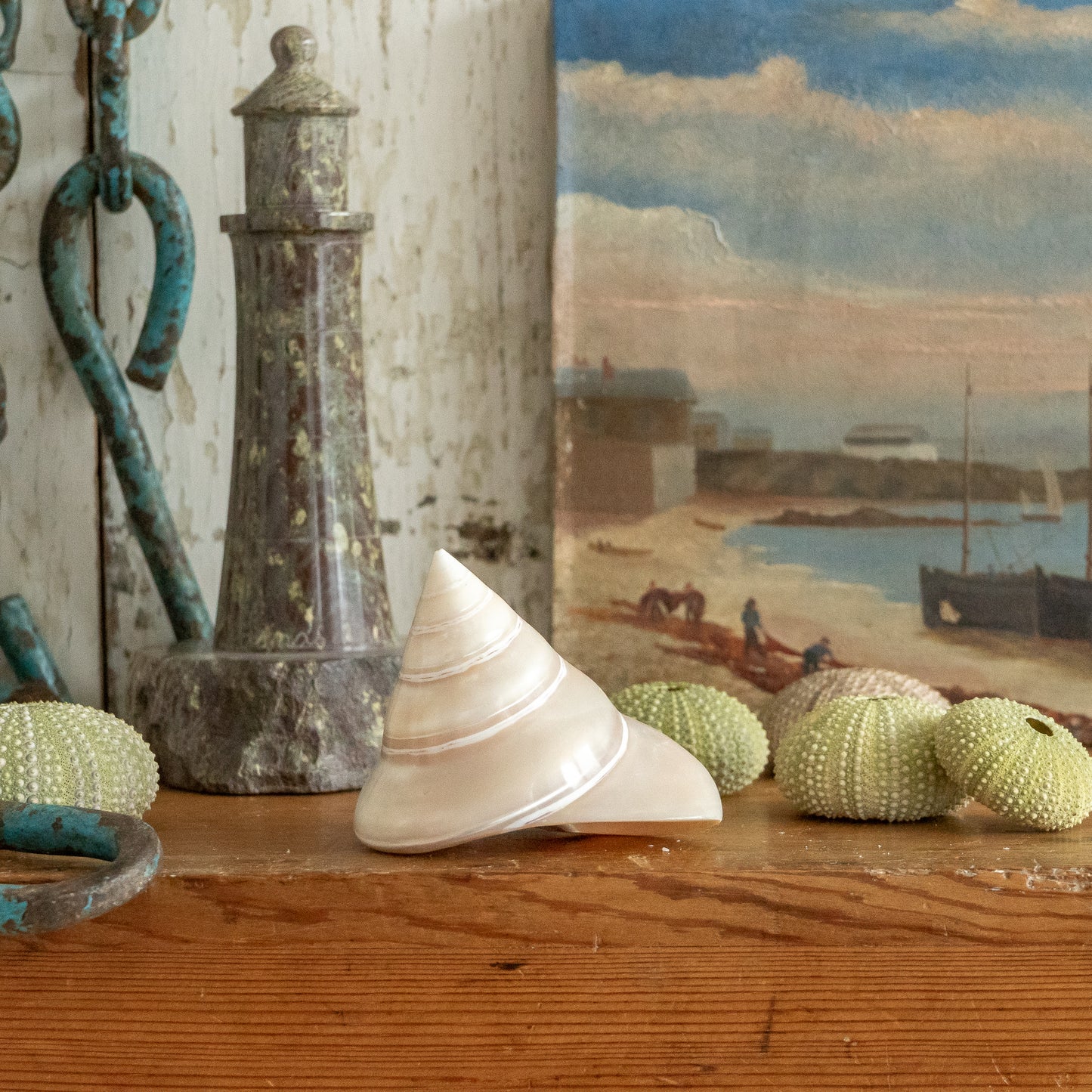 Sweet Little Pearlised Shell