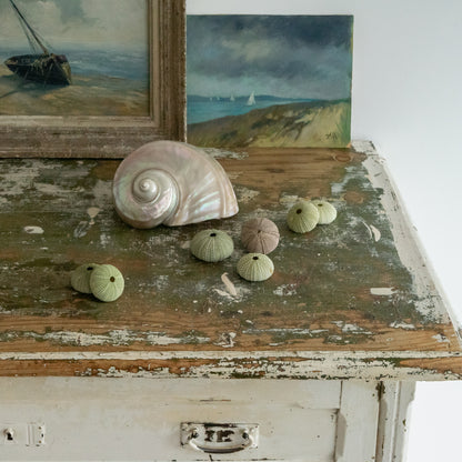 Timeworn Painted Rustic Cupboard