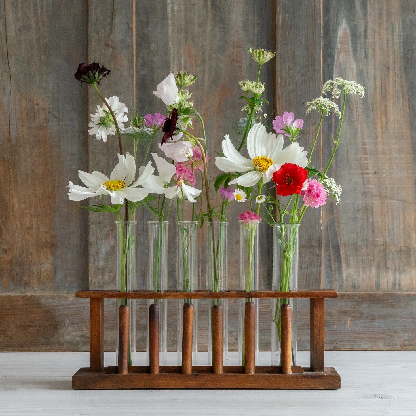 Vintage 6 Glass Test Tube Rack