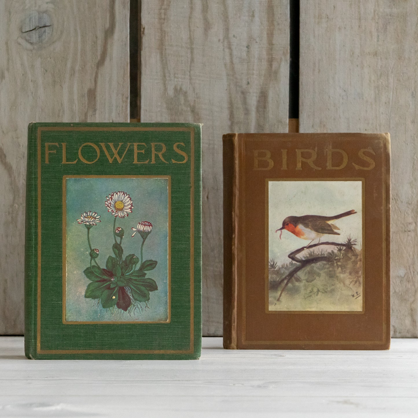 Vintage Birds and Flowers Books