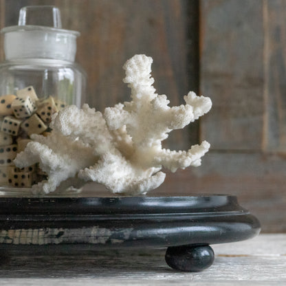 Vintage Ebonised Wooden Stand