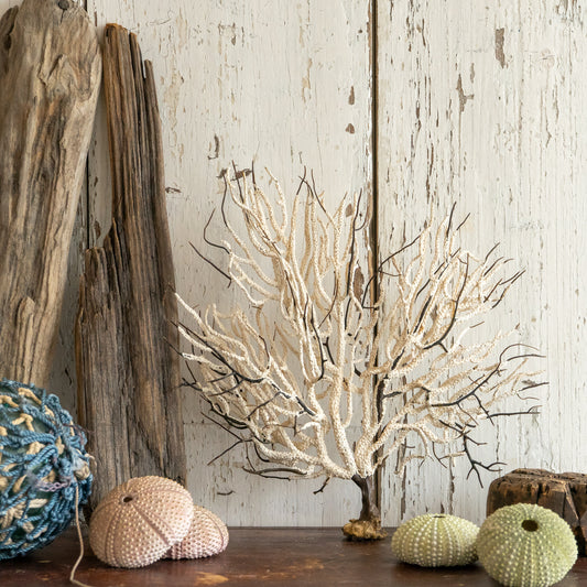 Vintage Fan Coral Specimen #2