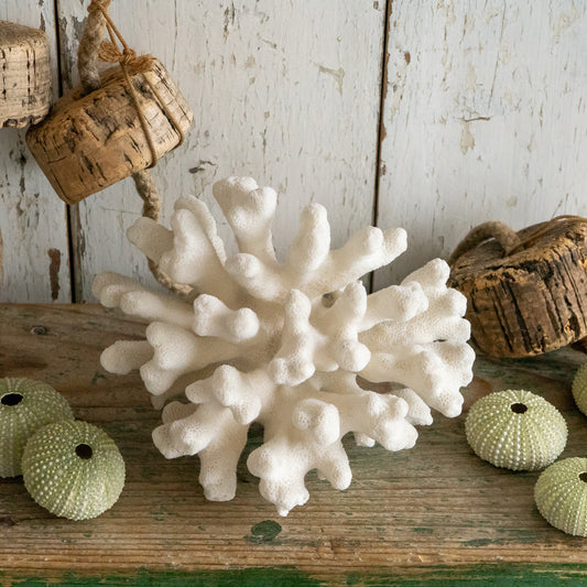 Vintage Natural Coral Specimen