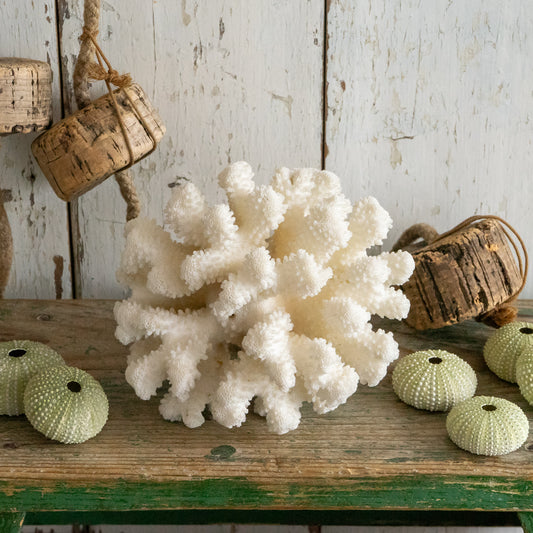 Vintage Natural Coral Specimen #2