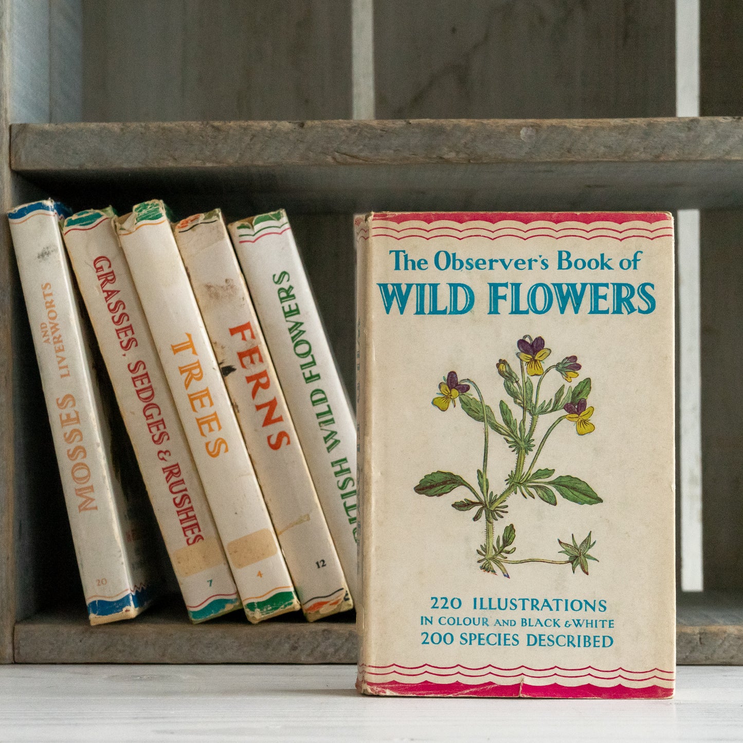 Vintage Observers Book