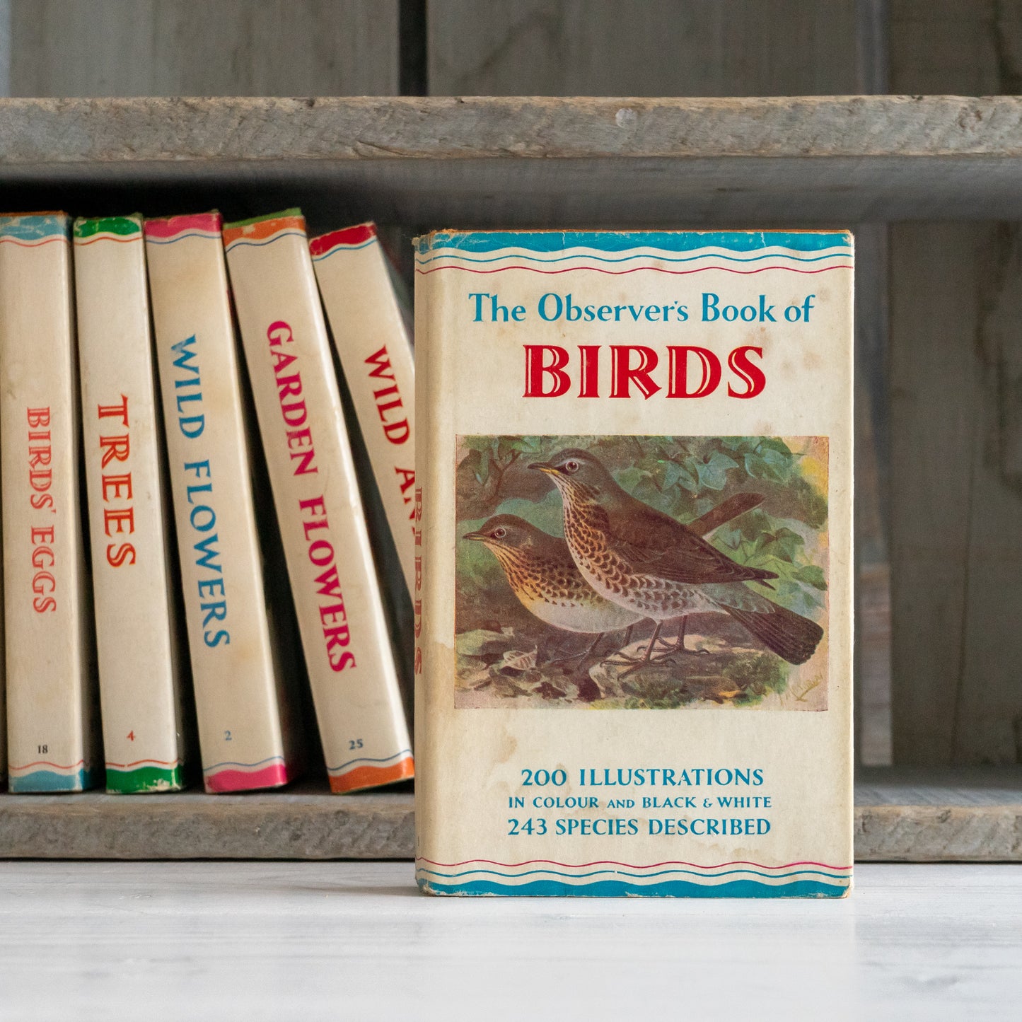 Vintage Observers Book