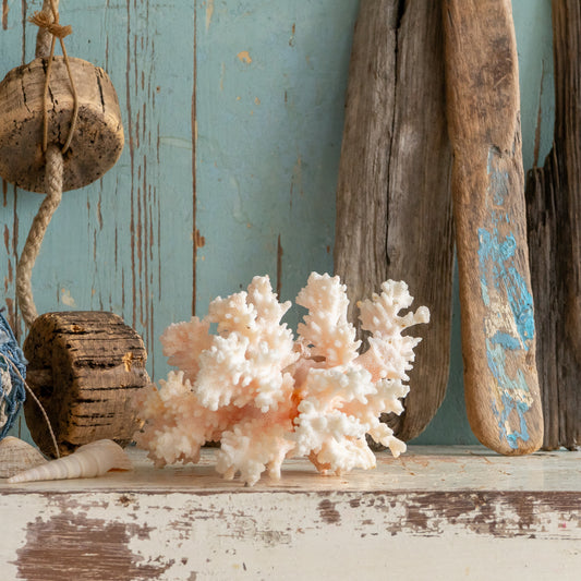 Vintage Pink Coral Specimen