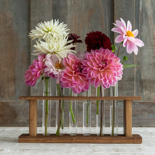 Vintage Test Tube Rack
