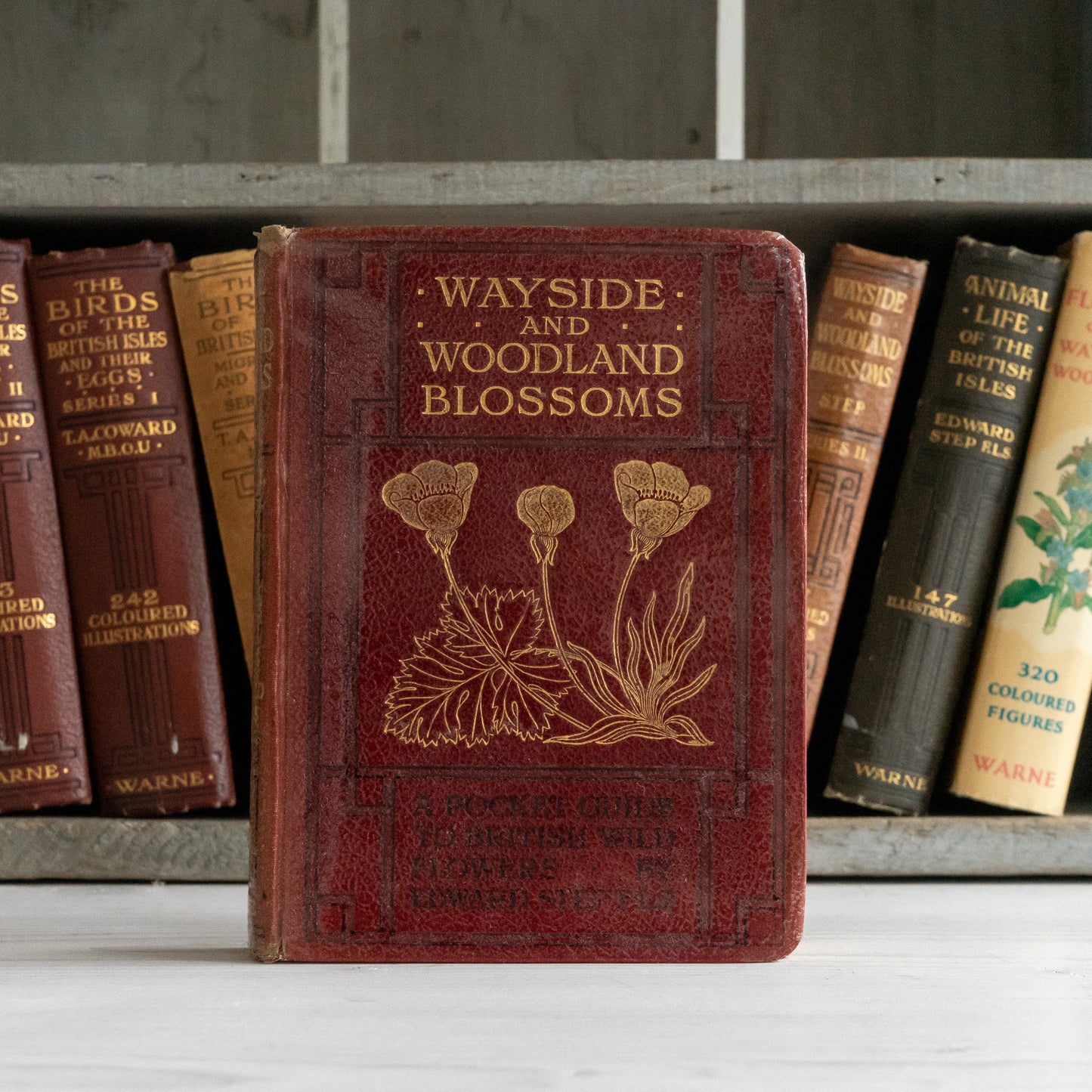 Vintage Wayside & Woodland Blossoms Book