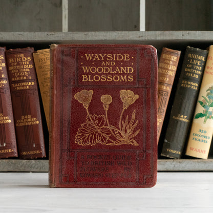 Vintage Wayside & Woodland Blossoms Book