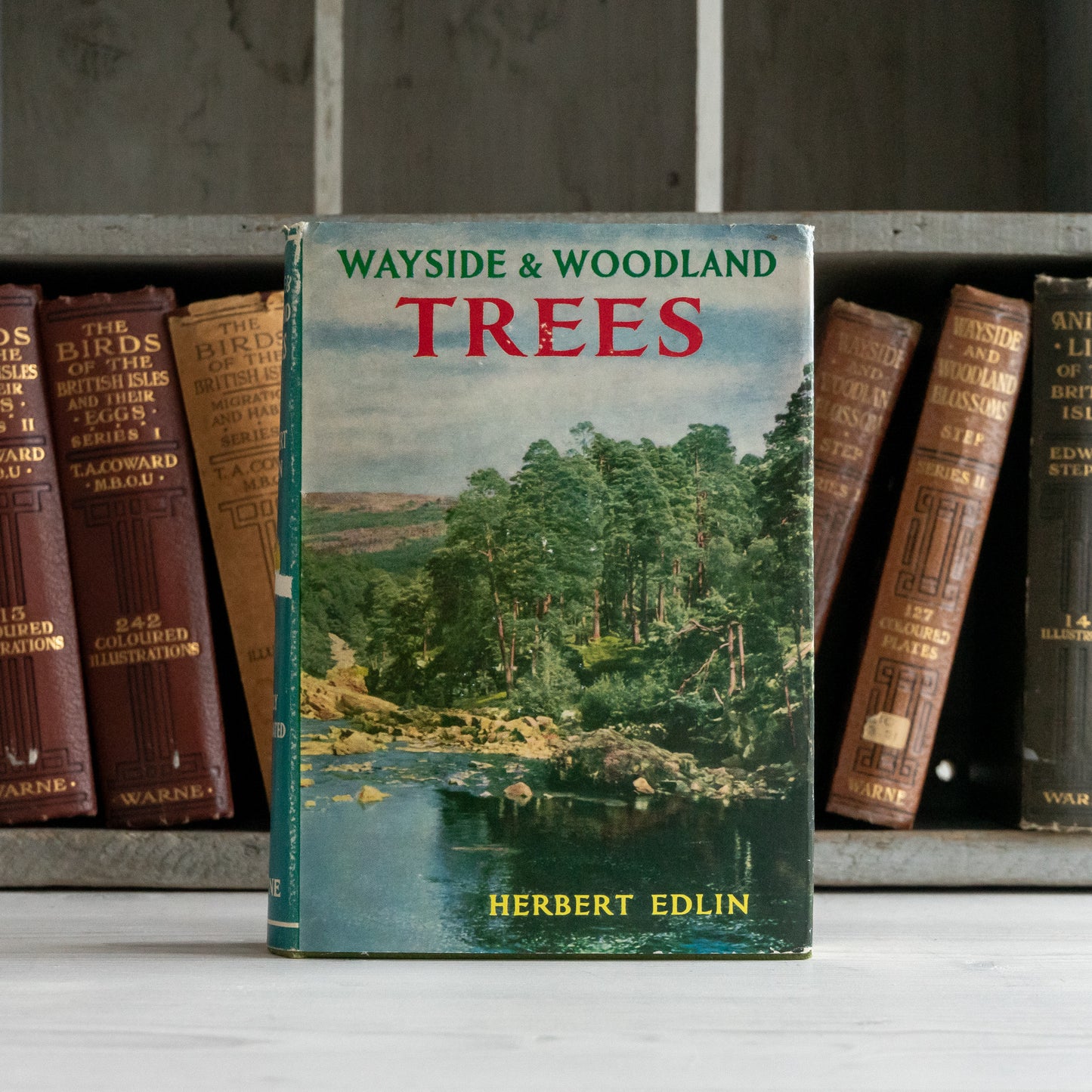Vintage Wayside & Woodland Trees Book