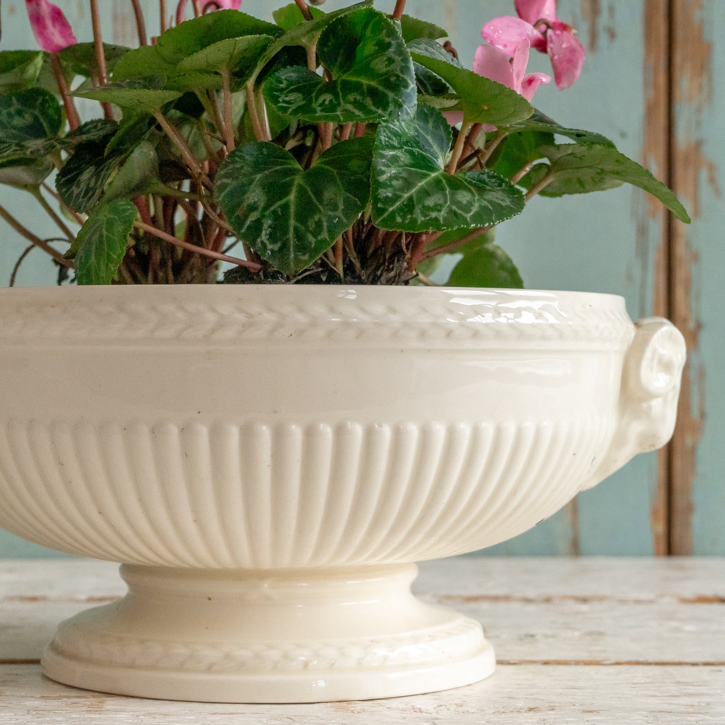 Vintage Wedgwood Bowl