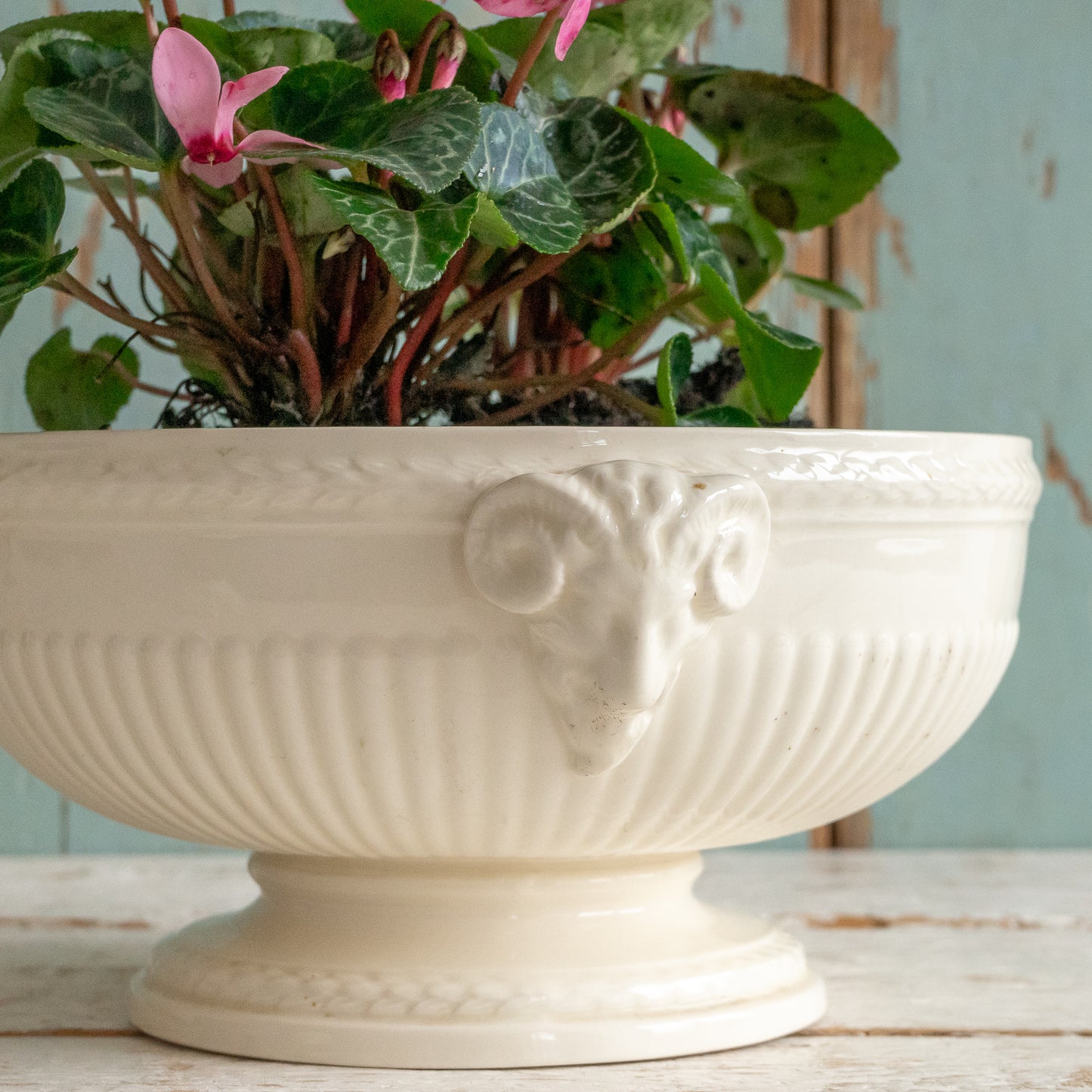 Vintage Wedgwood Bowl