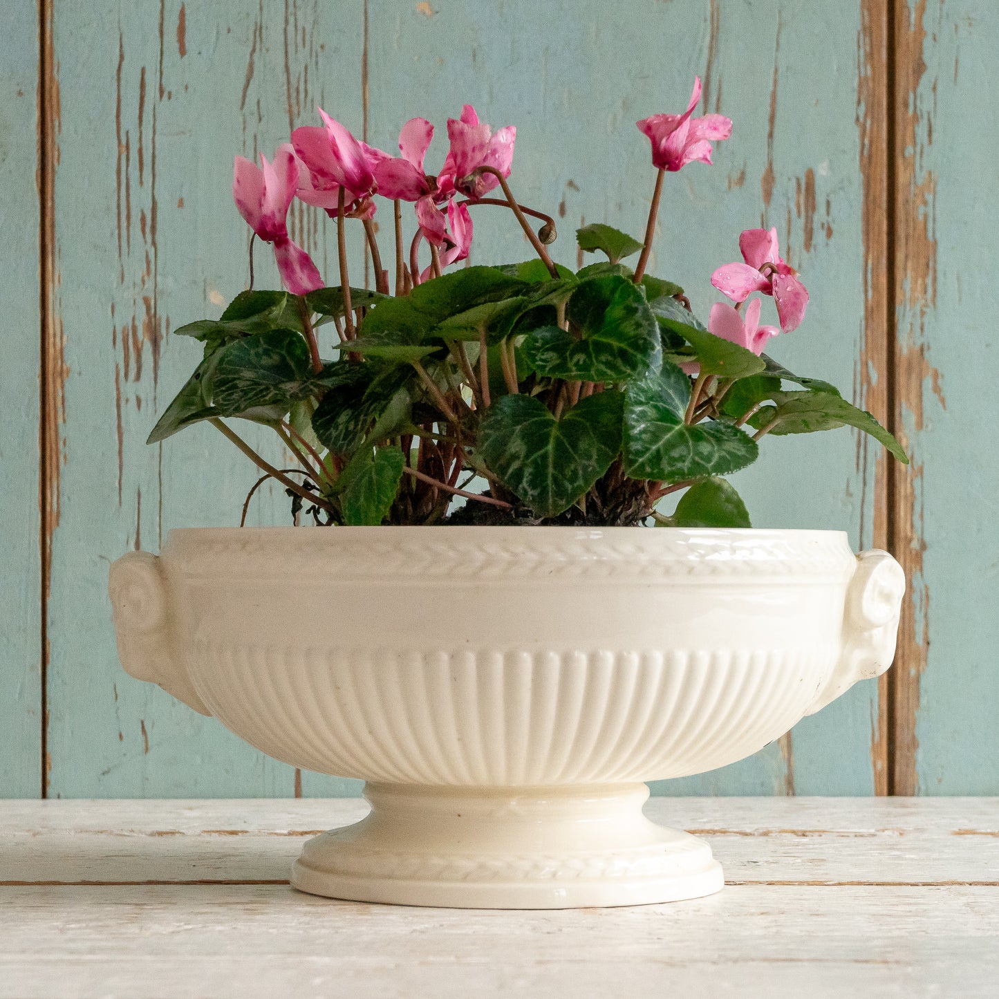 Vintage Wedgwood Bowl