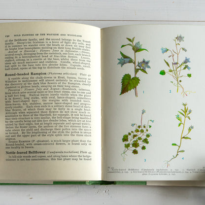 Vintage Wild Flowers of the Wayside & Woodland Book