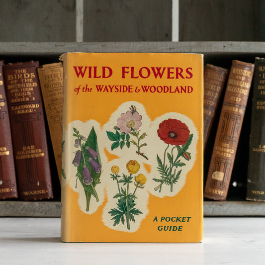 Vintage Wild Flowers of the Wayside & Woodland Book