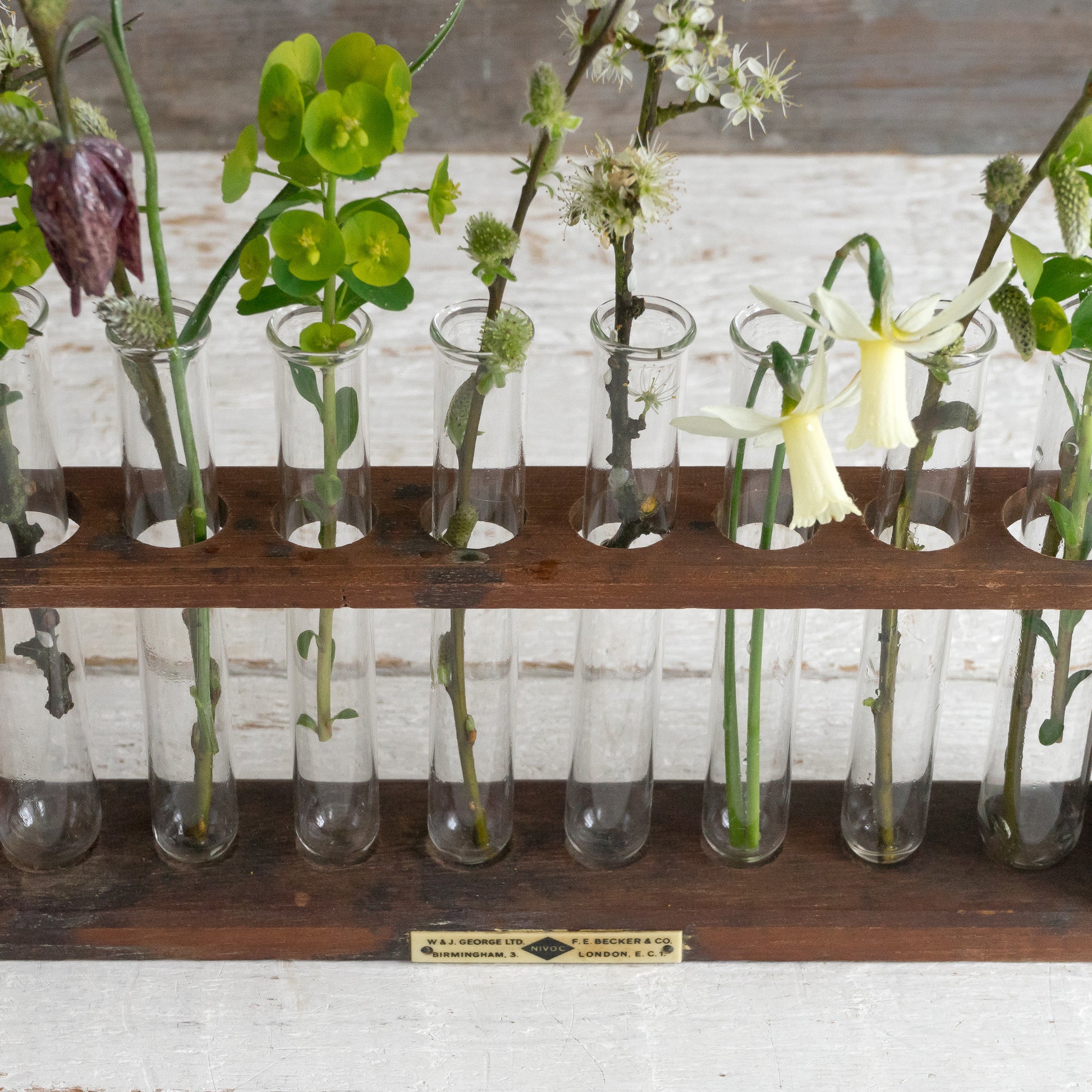 test tube rack for plants Vintage Wooden Test Tubes Rack with 8 Glass Test Tubes – Goose Home and Garden