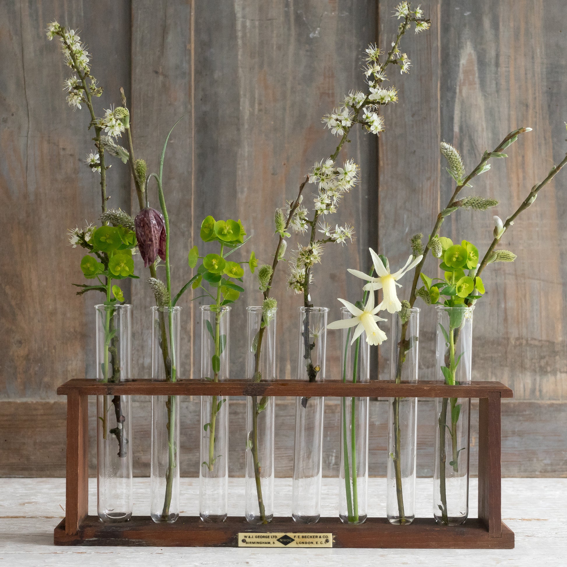 test tube rack for plants Vintage Wooden Test Tubes Rack with 8 Glass Test Tubes – Goose Home and Garden