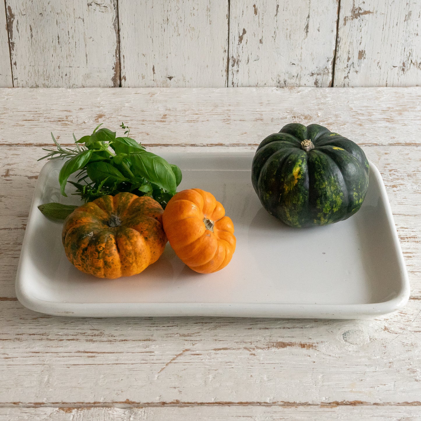 White Ironstone RUSHBROOKE Display Plate