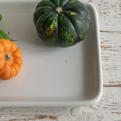 White Ironstone RUSHBROOKE Display Plate