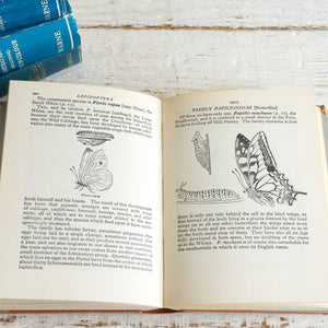 
            
                Load image into Gallery viewer, AN INSECT BOOK FOR YOUR POCKET
            
        