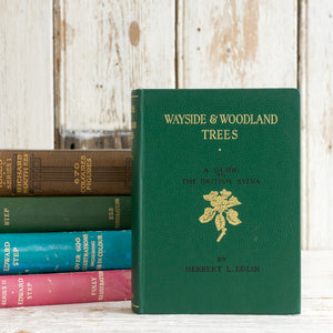 WAYSIDE AND WOODLAND TREES BOOK